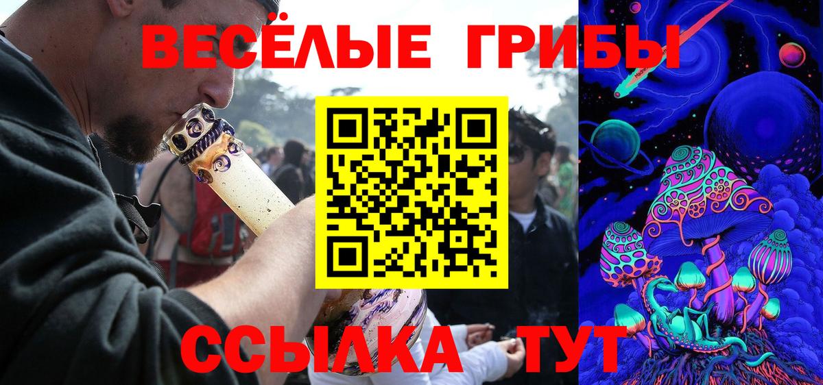 Псилоцибиновые грибы Psilocybe Сердобск