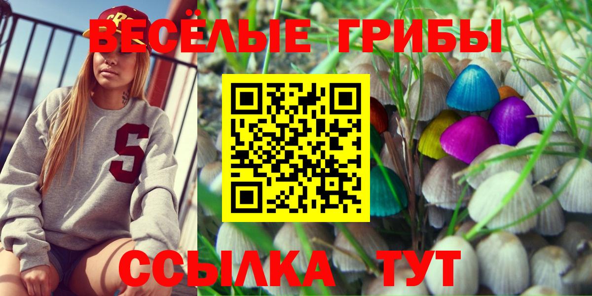 Сердобск  Псилоцибиновые грибы Magic Shrooms  где найти наркотики  Вход с VPN  Псилоцибиновые грибы прущие грибы 
